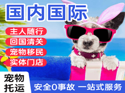 上海浦东机场邮寄国际宠物托运 【国